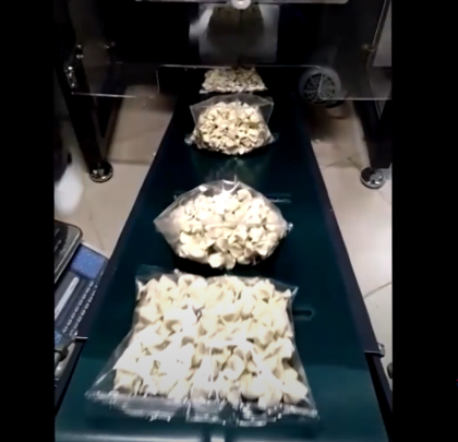 Ravioli Packing Machine