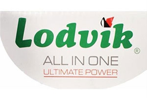 Lodvik